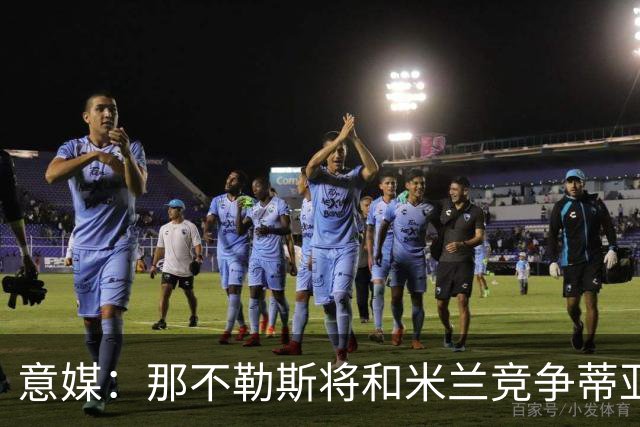 意媒：那不勒斯将和米兰竞争蒂亚戈-加布里埃尔，莱切要2500万