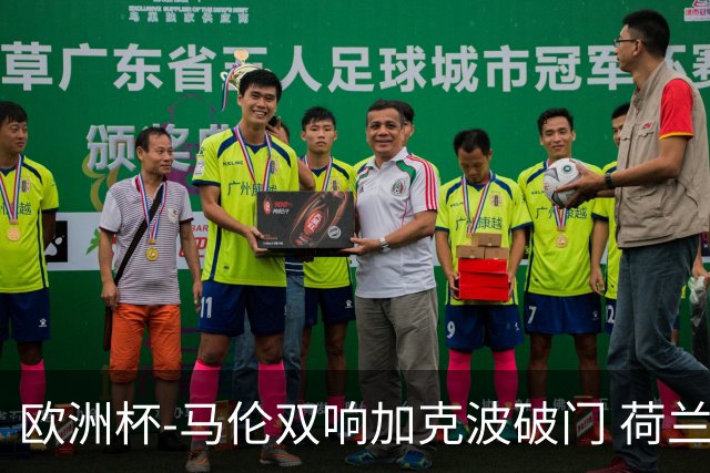欧洲杯-马伦双响加克波破门 荷兰3-0罗马尼亚